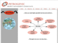 petrogenic.com