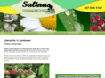 salinaslandscapingandbrick.com