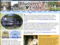 blueberryfieldsbandb.com