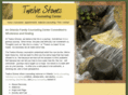 12stonescounseling.com