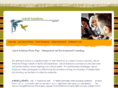 adroitsolutionsmn.com