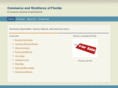 cwflorida.com