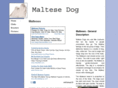 maltese-dogs.com