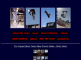proimpactstuntteam.com