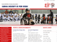 umhahockey.org