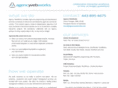 agencywebworks.com