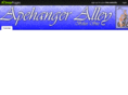 icecoldchroming.com