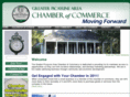 picayunechamber.org