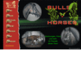 bulls-and-horses.com