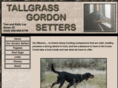 tallgrassgordonsetters.com