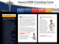 anaseedemrconsultinggroup.com