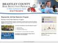 brantleycountyduischool.com