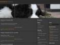landseer-ect.net
