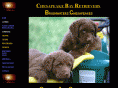 brushwaters.com