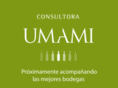 consultoraumami.com