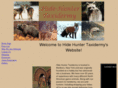 hidehuntertaxidermy.com