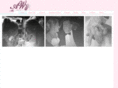 aksiniaweddings.com