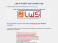 d2p-conseil.com