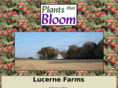 plantsthatbloom.com