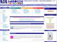 sarrocchi.it