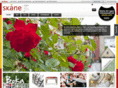 xn--visitskne-c3a.net