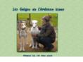 belgaview.com