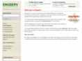 bizserv.co.uk