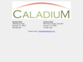 caladiumllc.com