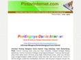pintarinternet.com