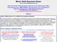 removalofblackmold.com