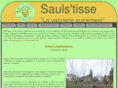 saulstisse.com