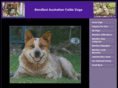 bendiboi.com