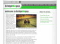 bridgethegap.org.uk