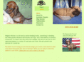 midgetsminnies.com
