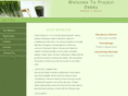 projectdebby.org