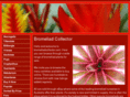 bromeliadcollector.com