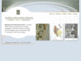 mappingplanning.com
