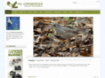 calvorn.com