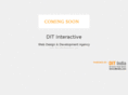 ditinteractive.com
