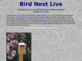 birdnestlive.com