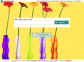 search-canvas.com