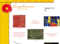liseygallery.com