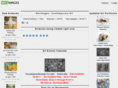 neoimages.com