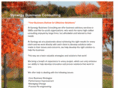 synergybizconsulting.com