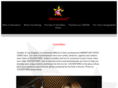 voicestarz.com