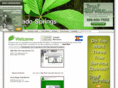 coloradospringstreeservices.com