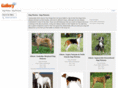 dogphotos.ws