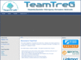 teamtreg.com