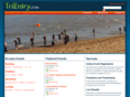 trientry.com