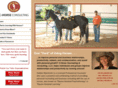 c-horseconsulting.com